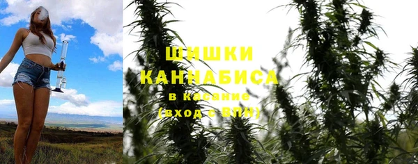 МДПВ Вязьма