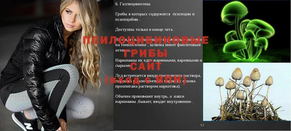 МДПВ Вязьма