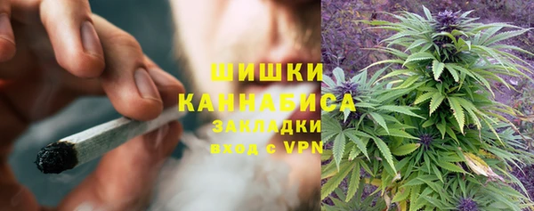 МДПВ Вязьма