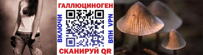 Галлюциногенные грибы Cubensis  как найти   Барнаул 